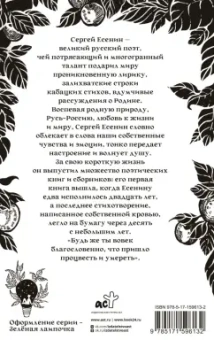Сергей Есенин: Не жалею, не зову, не плачу...