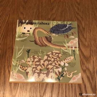 Боманн, Дюпон: Животные снаружи и внутри