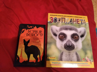 Альбом для коллекционирования наклеек "Зоопланета 2020" (8018190009323)