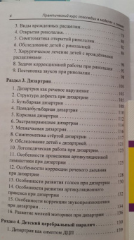 Валентина Акименко: Практический курс логопедии в моделях и схемах