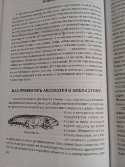 Александр Никольский: Занимательная зоология