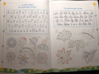 Тамара Игнатьева: Прописи для дошкольников Пиши - не спеши! Тетрадь №1