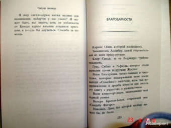 Грегуар Делакур: Шкатулка желаний