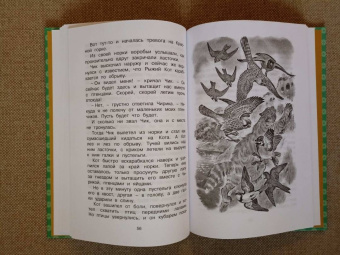 Виталий Бианки: Как Лис Ежа перехитрил