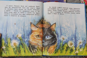 Анна Федулова: Вместе не страшно