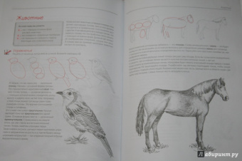 Уте Людвиг-Кайзер: Каждый может рисовать. Первые шаги