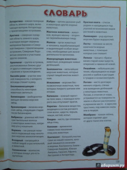 Моя первая книга о животных