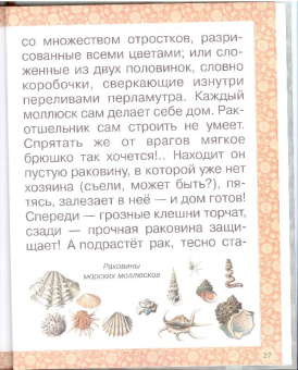 Инна Гамазкова: Гнезда, норки, домики
