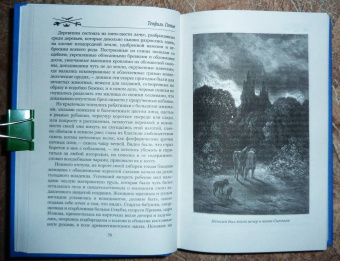 Теофиль Готье: Капитан Фракасс