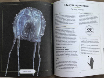 Сэми Бэйли: Энциклопедия опасных животных