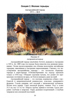 Дмитрий Тарнуев: Охотничьи собаки. Учебное пособие для СПО