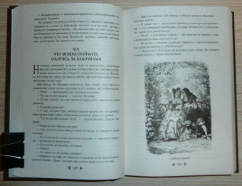 Александр Дюма: Виконт де Бражелон, или Еще десять лет спустя. Том 2