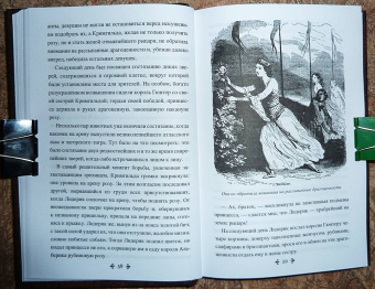 Александр Дюма: Приключения Лидерика. Амори