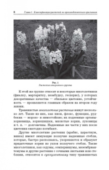 Шаламова, Крупина, Миникаев: Цветоводство. Практикум. Учебное пособие
