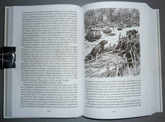 Джеймс Кервуд: Бродяги Севера