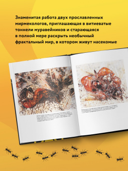 Уилсон, Хёлльдоблер: Путешествие к муравьям