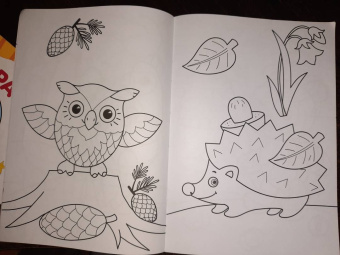 Раскраска А4. Мои картинки