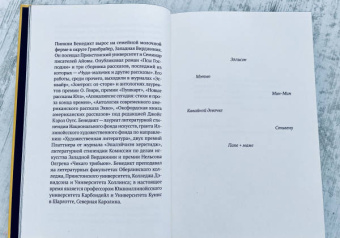 Дэвид Хэй: Фонтан