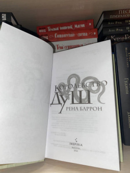Рена Баррон: Королевство душ