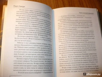 Кнут Гамсун: Под осенней звездой. Странник играет под сурдинку