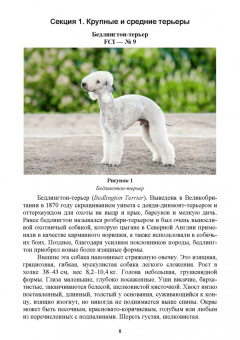 Дмитрий Тарнуев: Охотничьи собаки. Учебное пособие для СПО