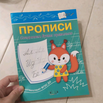 Светлана Чиркова: Прописи. Соединяем буквы правильно. IV уровень сложности