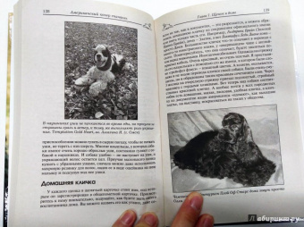 Марина Исайкина: Американский кокер спаниель. История. Стандарты. Содержание. Разведение. Выставки