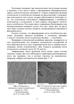 Сахно, Ватников, Шевченко: Эндемические болезни животных. Учебное пособие. СПО