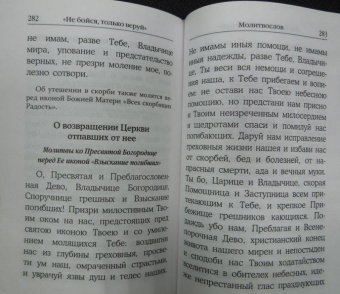 "Не бойся, только веруй!". Как молиться за детей. С наставлениями и советами для родителей