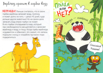 Ю. Соколова: Правда или нет? Мир животных