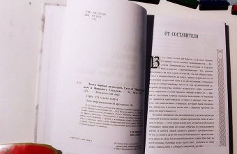 Вадим Сеничев: Эпоха первых исландцев. Саги об Эйрике Красном и о Финнбоге Сильном