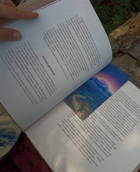 Елена Тын: Истории волшебного леса. Рецепты, рассказы, рукоделие и чудесные поделки, вдохновлённые природой