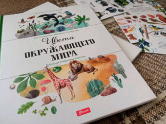 Седлачкова, Секанинова: Цвета окружающего мира