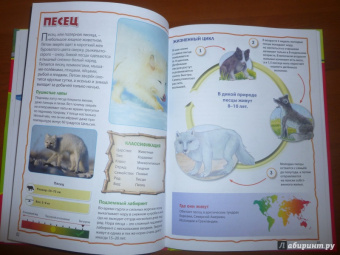 Моя первая книга о животных