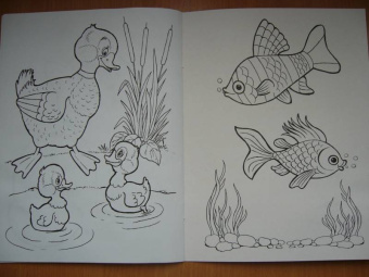 Татьяна Коваль: Домашние любимцы