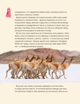 П. Доможиров: Only Lama. ЛАМА! Фанбук. 8 проектов для творчества и вдохновения