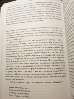 Павел Пепперштейн: Эпоха аттракционов