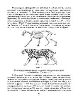 Веселова, Блохина: Биология, систематика и разведение кошачьих. Учебное пособие для вузов