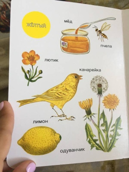 Елена Ивановская: Моя первая книжка о цвете