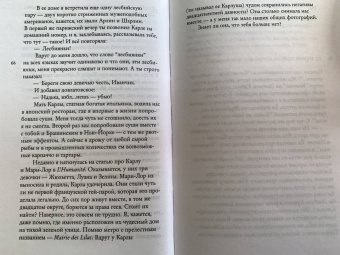 Карина Добротворская: Кто-нибудь видел мою девчонку? 100 писем к Сереже