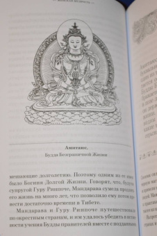 Ангелика Прензель: Небесные танцовщицы. Истории просветленных женщин Индии и Тибета