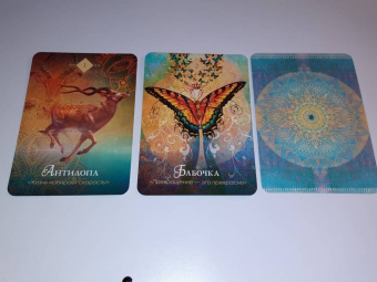 Колетт Барон-Рид: The Spirit Animal Oracle. Духи животных. Оракул, 68 карт и руководство в подарочном оформлении