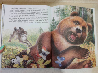 Николай Сладков: Бюро лесных услуг