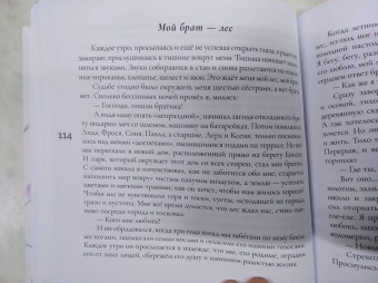 Ольга Юревич: Матушкины цветочки