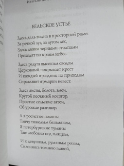 Владислав Ходасевич: Стихотворения