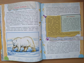 Тамара Николаева: Там, на неведомых дорожках...