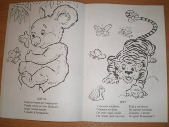 Елена Михайленко: Эти милые зверушки. Раскраска