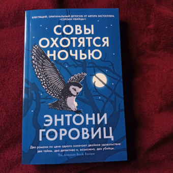 Энтони Горовиц: Совы охотятся ночью