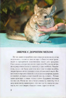 А. Козлов: Шиншиллы. Содержание и уход