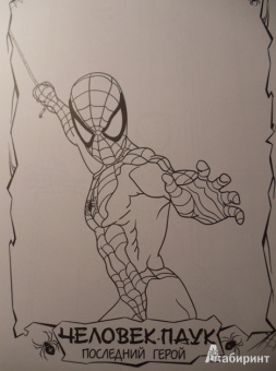 Бродин, Калдвел, Дэрелл: Человек-паук. Последний герой (+ DVD)